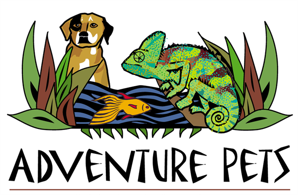 Choosing The Perfect Adventure Pets Carrier