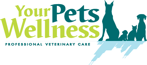pet's wellness